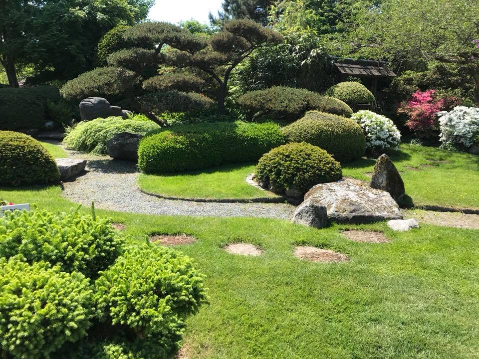 Wir waren auf der Rhodo 2018 in Bad Zwischenahn Scharnweber Garten