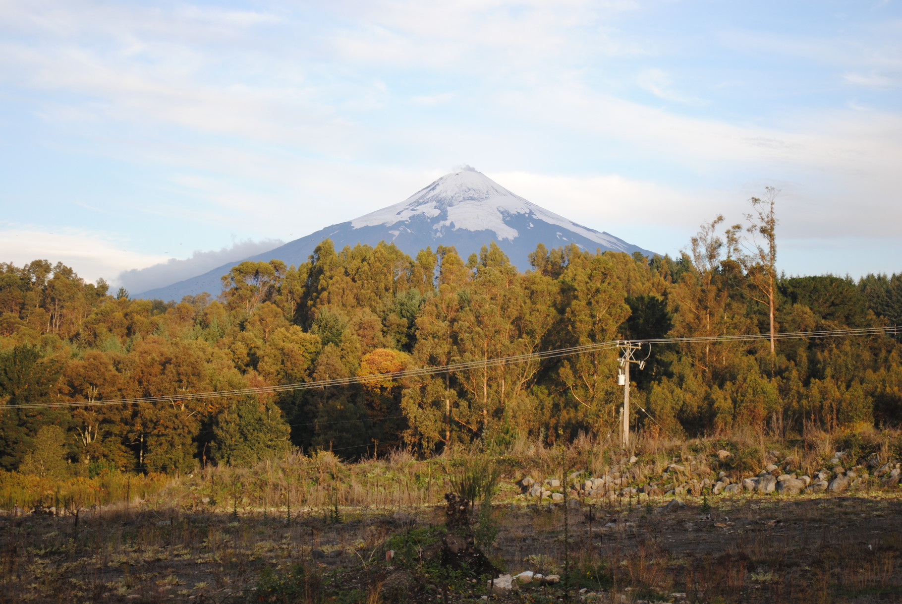 Terreno sector Correntoso - 25,000 m2