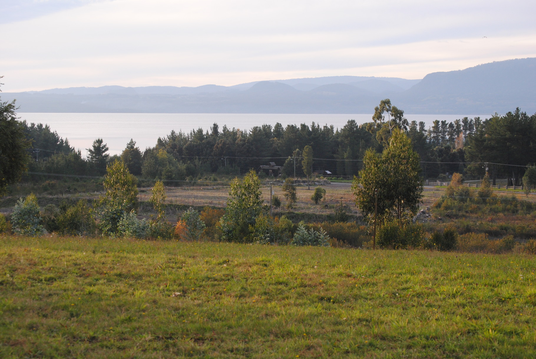 Terreno sector Correntoso - 25,000 m2