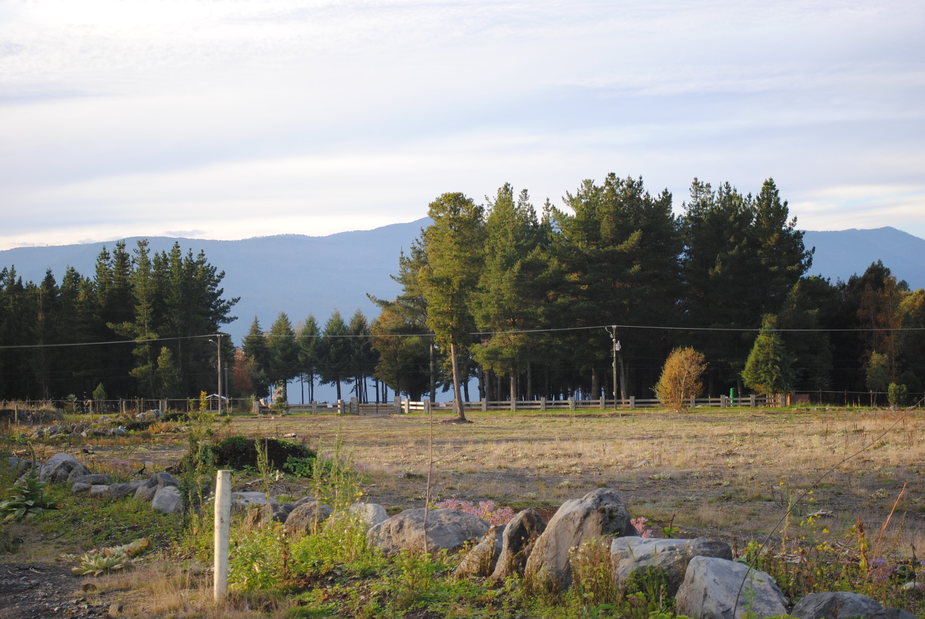 Terreno sector Correntoso - 25,000 m2