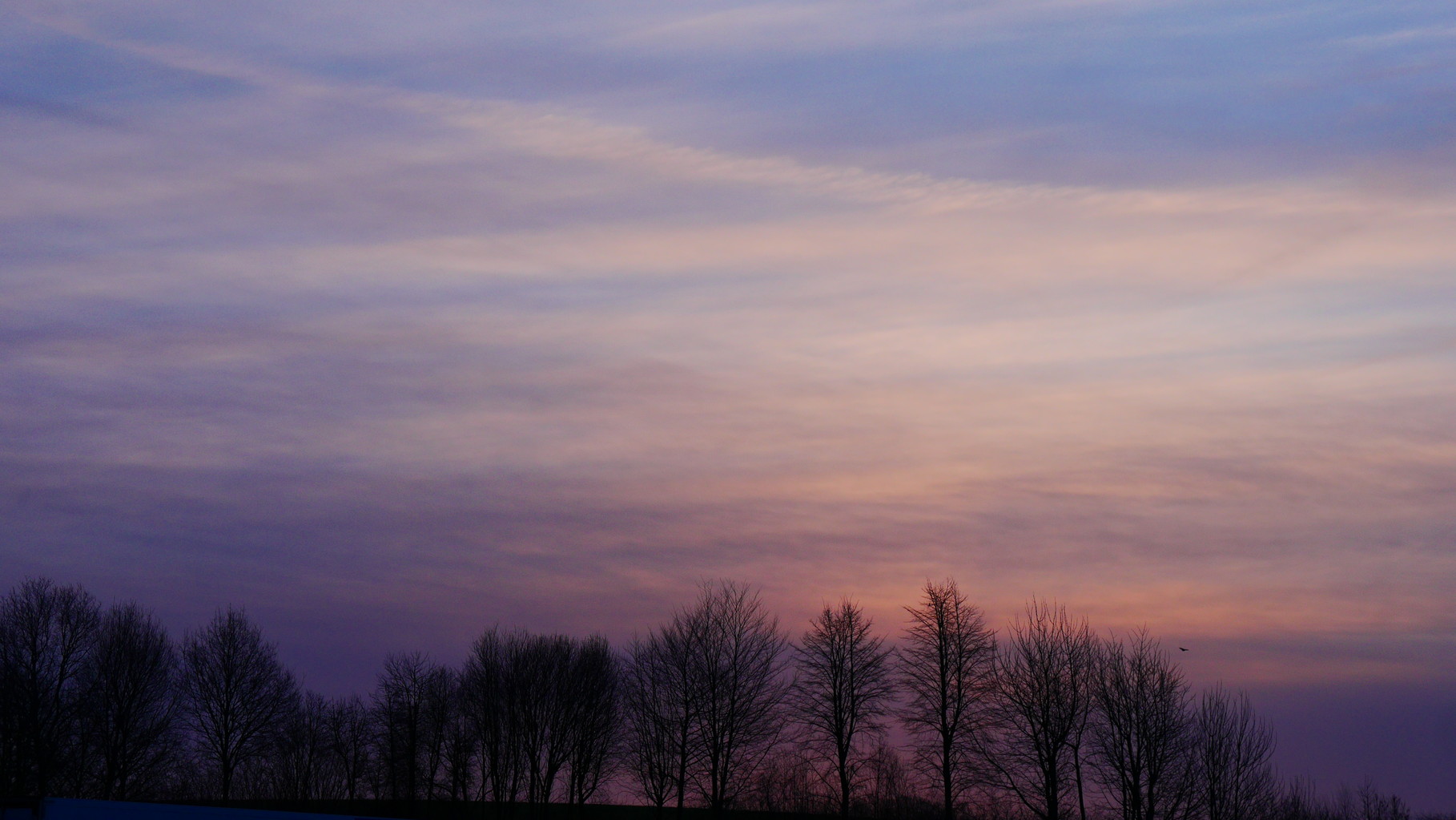 Clasen/Stiller Fotografie, Udo Clasen, Patrick Stiller, Nachtaufnahme, Abstrakte Fotos, Langzeitbelichtung, Sonnenaufgang, rot, grün, blau, orange, gold, gelb, Pflanzen, Baum, Bäume, HDR, Düsseldorf, Duisburg, Natur, Tiere, Wolken, Wassertropfen, Vögel,