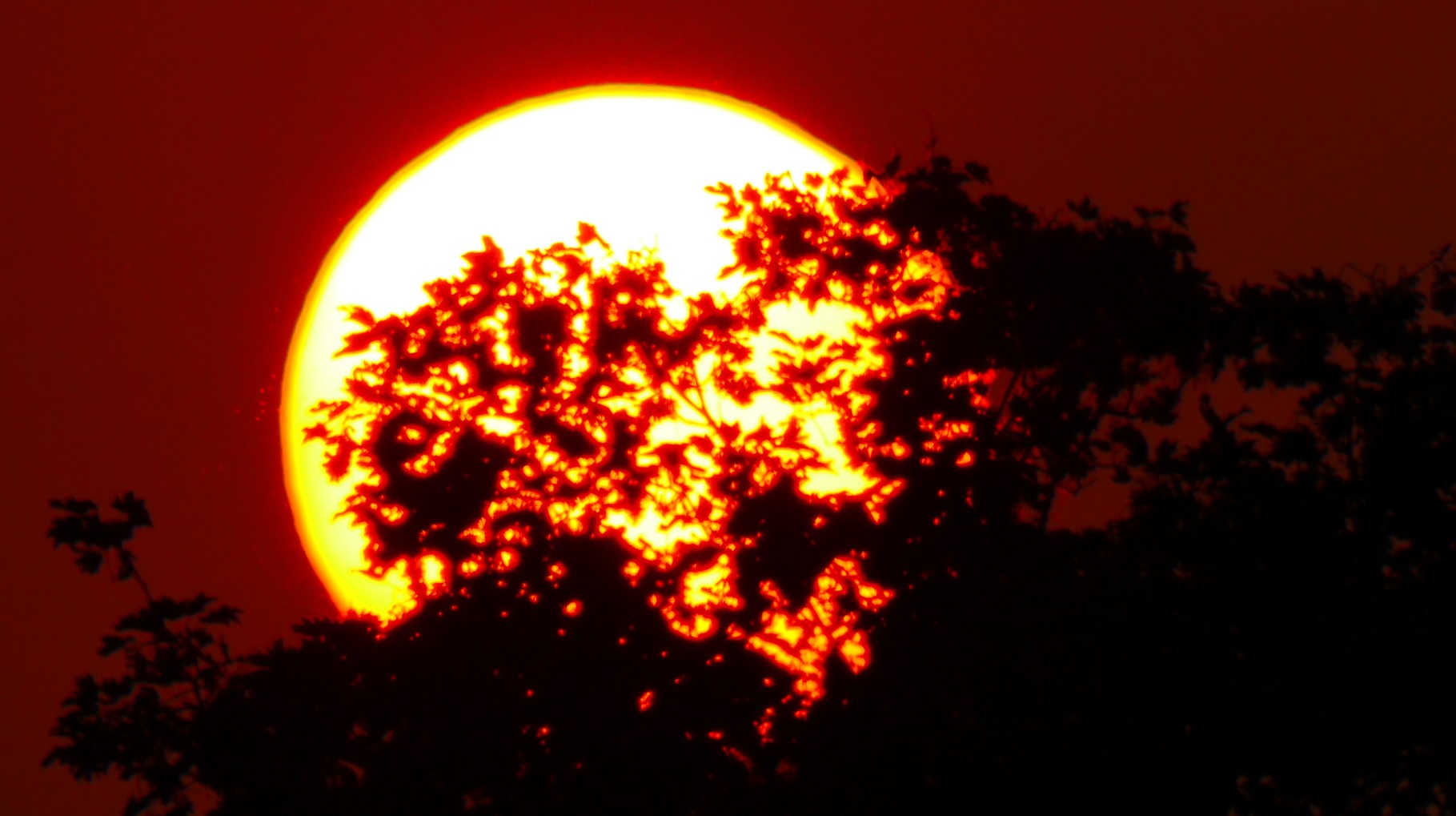 Clasen/Stiller Fotografie, Udo Clasen, Patrick Stiller, Nachtaufnahme, Abstrakte Fotos, Langzeitbelichtung, Sonnenaufgang, rot, grün, blau, orange, gold, gelb, Pflanzen, Baum, Bäume, HDR, Düsseldorf, Duisburg, Natur, Tiere, Wolken, Wassertropfen, Vögel,