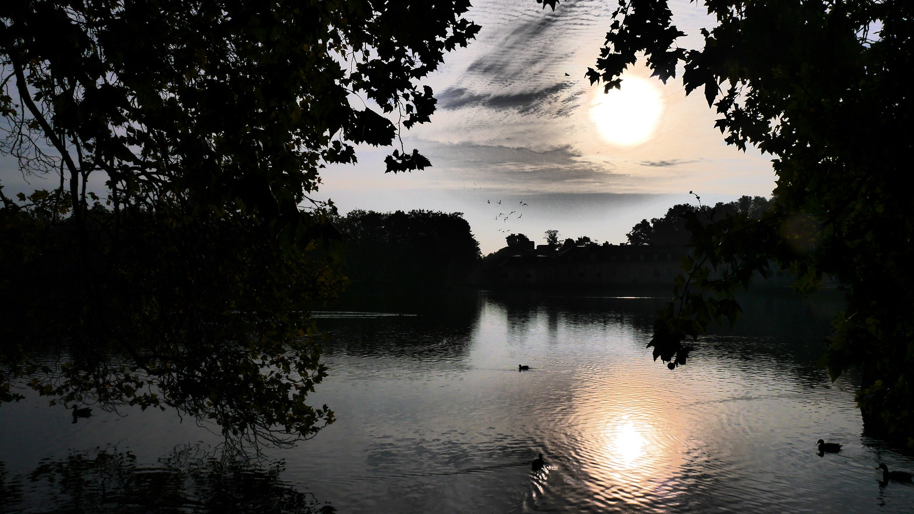 Clasen/Stiller Fotografie, Udo Clasen, Patrick Stiller, Nachtaufnahme, Abstrakte Fotos, Langzeitbelichtung, Sonnenaufgang, rot, grün, blau, orange, gold, gelb, Pflanzen, Baum, Bäume, HDR, Düsseldorf, Duisburg, Natur, Tiere, Wolken, Wassertropfen, Vögel,