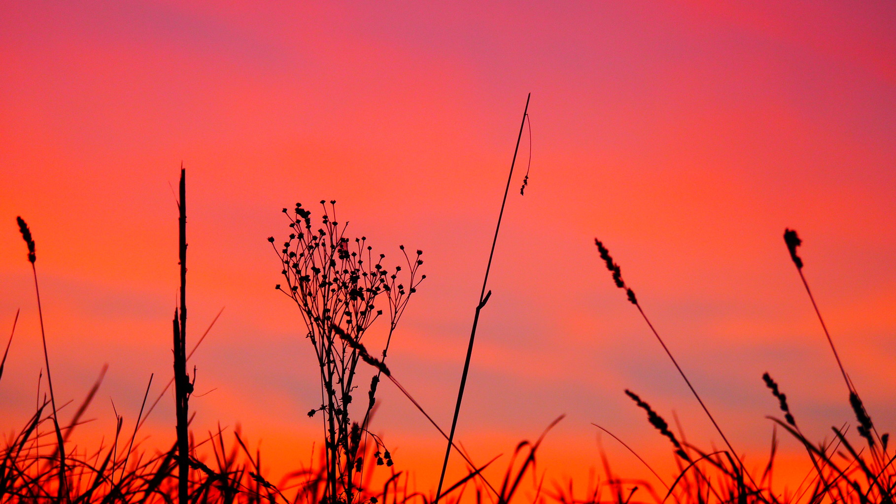 Clasen/Stiller Fotografie, Udo Clasen, Patrick Stiller, Nachtaufnahme, Abstrakte Fotos, Langzeitbelichtung, Sonnenaufgang, rot, grün, blau, orange, gold, gelb, Pflanzen, Baum, Bäume, HDR, Düsseldorf, Duisburg, Natur, Tiere, Wolken, Wassertropfen, Vögel,