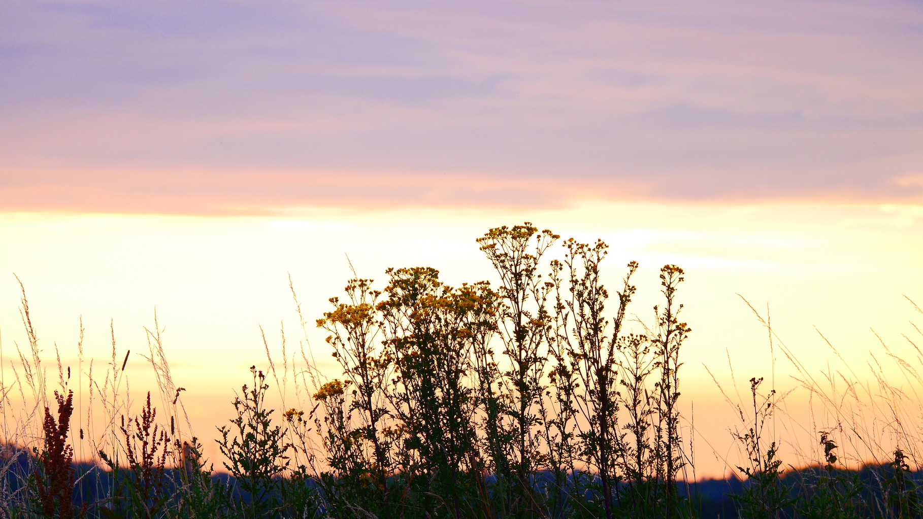 Clasen/Stiller Fotografie, Udo Clasen, Patrick Stiller, Nachtaufnahme, Abstrakte Fotos, Langzeitbelichtung, Sonnenaufgang, rot, grün, blau, orange, gold, gelb, Pflanzen, Baum, Bäume, HDR, Düsseldorf, Duisburg, Natur, Tiere, Wolken, Wassertropfen, Vögel,