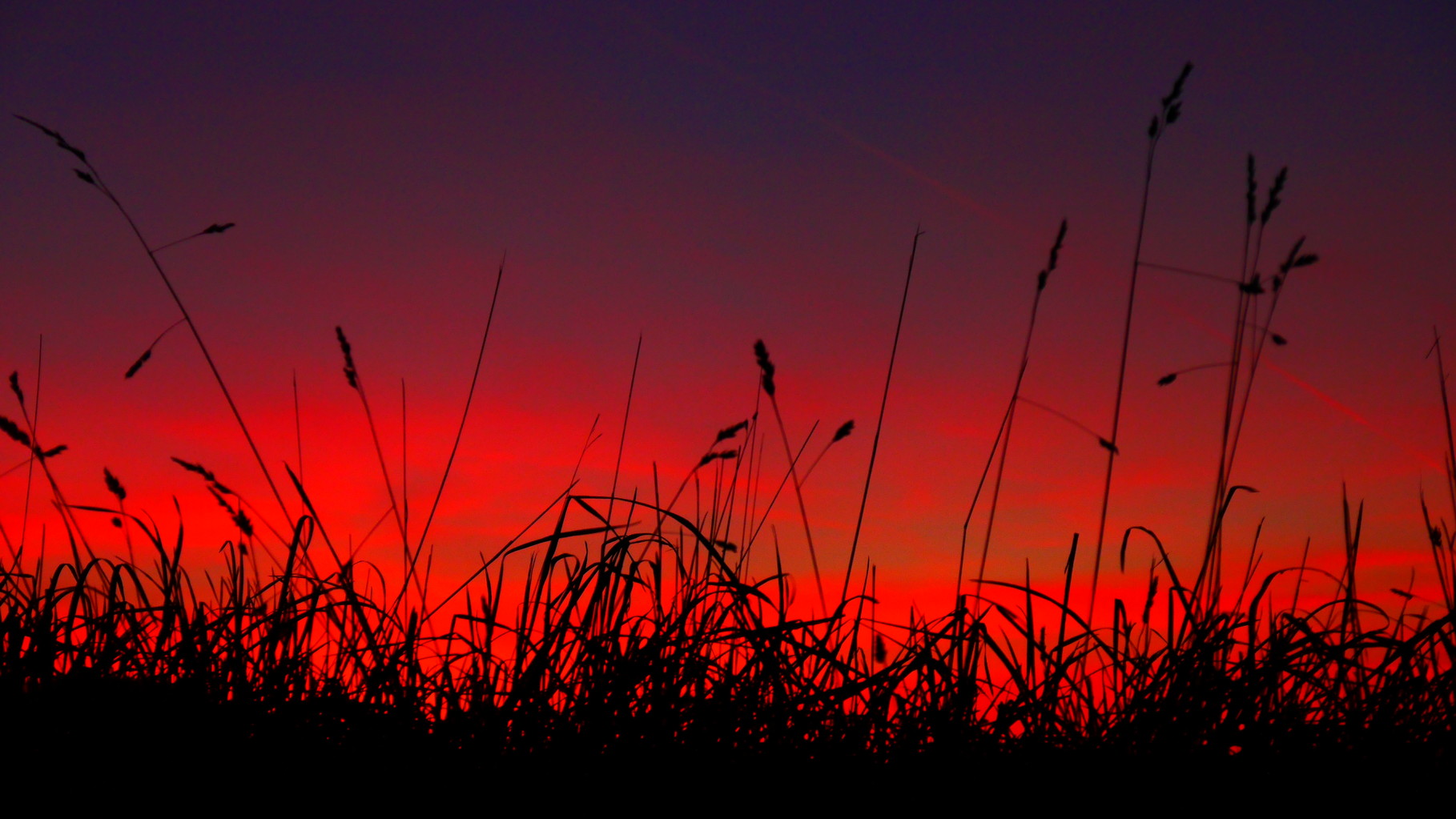 Clasen/Stiller Fotografie, Udo Clasen, Patrick Stiller, Nachtaufnahme, Abstrakte Fotos, Langzeitbelichtung, Sonnenaufgang, rot, grün, blau, orange, gold, gelb, Pflanzen, Baum, Bäume, HDR, Düsseldorf, Duisburg, Natur, Tiere, Wolken, Wassertropfen, Vögel,