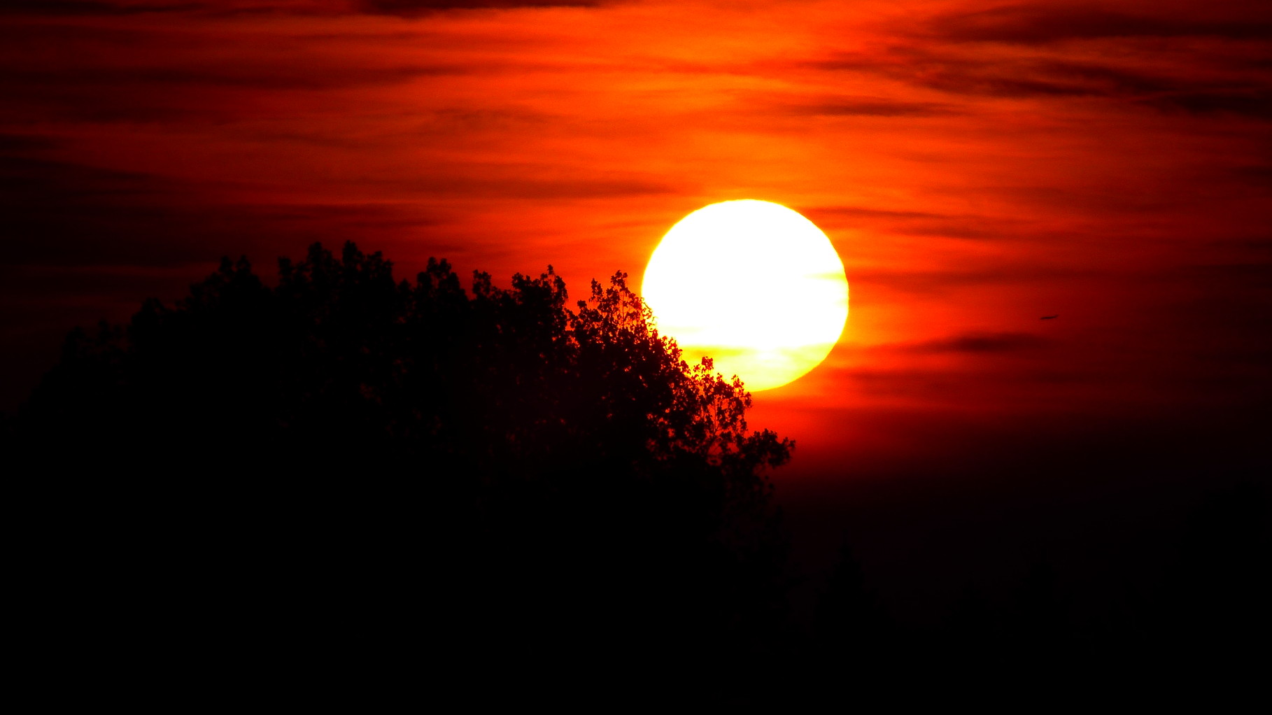 Clasen/Stiller Fotografie, Udo Clasen, Patrick Stiller, Nachtaufnahme, Abstrakte Fotos, Langzeitbelichtung, Sonnenaufgang, rot, grün, blau, orange, gold, gelb, Pflanzen, Baum, Bäume, HDR, Düsseldorf, Duisburg, Natur, Tiere, Wolken, Wassertropfen, Vögel,