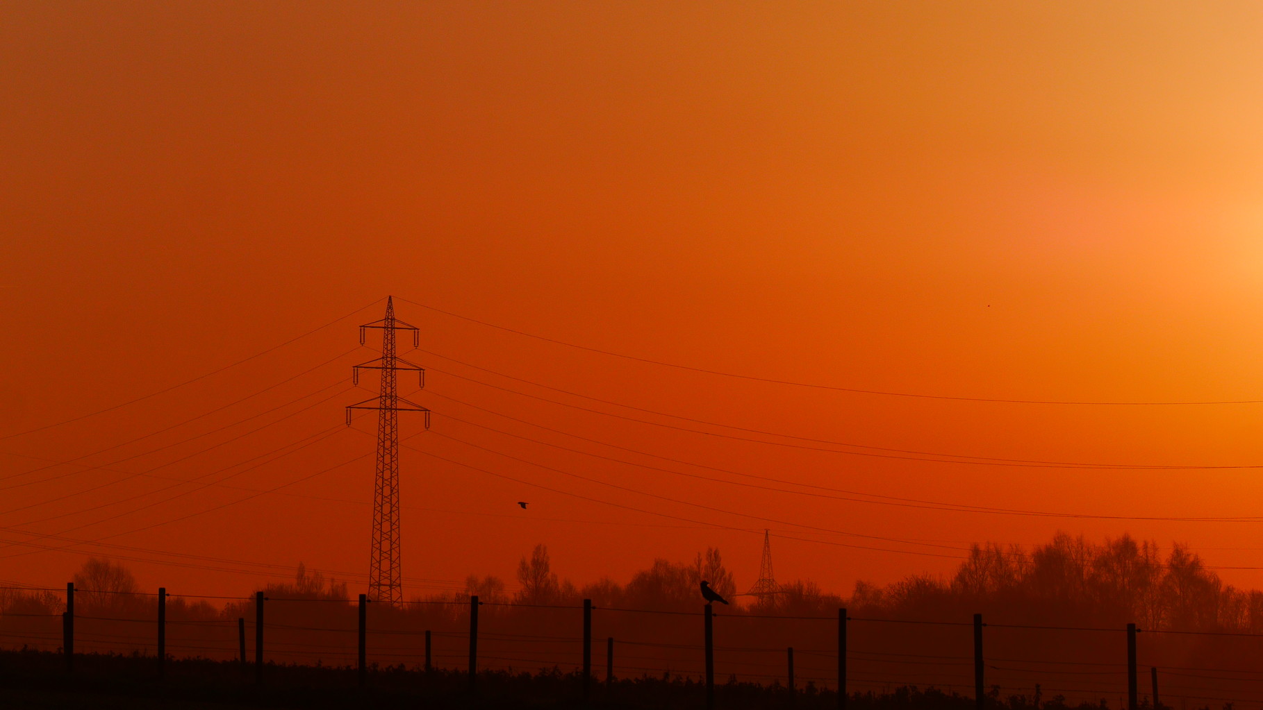 Clasen/Stiller Fotografie, Udo Clasen, Patrick Stiller, Nachtaufnahme, Abstrakte Fotos, Langzeitbelichtung, Sonnenaufgang, rot, grün, blau, orange, gold, gelb, Pflanzen, Baum, Bäume, HDR, Düsseldorf, Duisburg, Natur, Tiere, Wolken, Wassertropfen, Vögel,