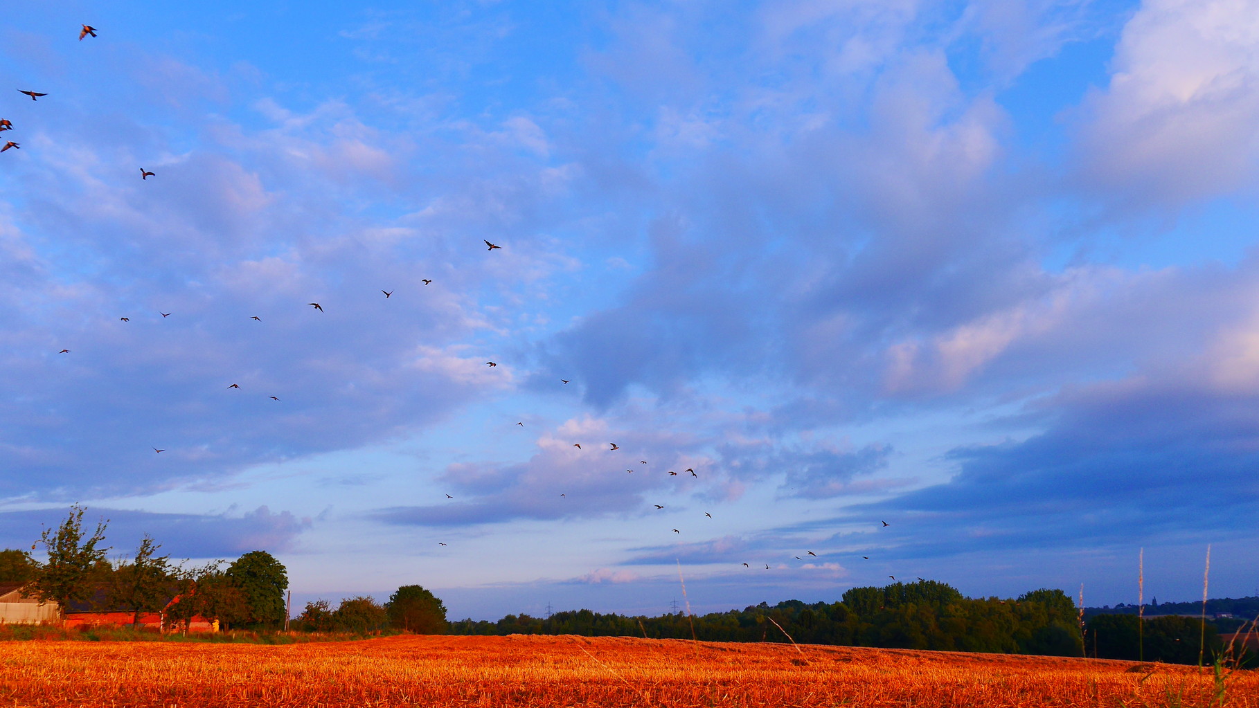 Clasen/Stiller Fotografie, Udo Clasen, Patrick Stiller, Nachtaufnahme, Abstrakte Fotos, Langzeitbelichtung, Sonnenaufgang, rot, grün, blau, orange, gold, gelb, Pflanzen, Baum, Bäume, HDR, Düsseldorf, Duisburg, Natur, Tiere, Wolken, Wassertropfen, Vögel,