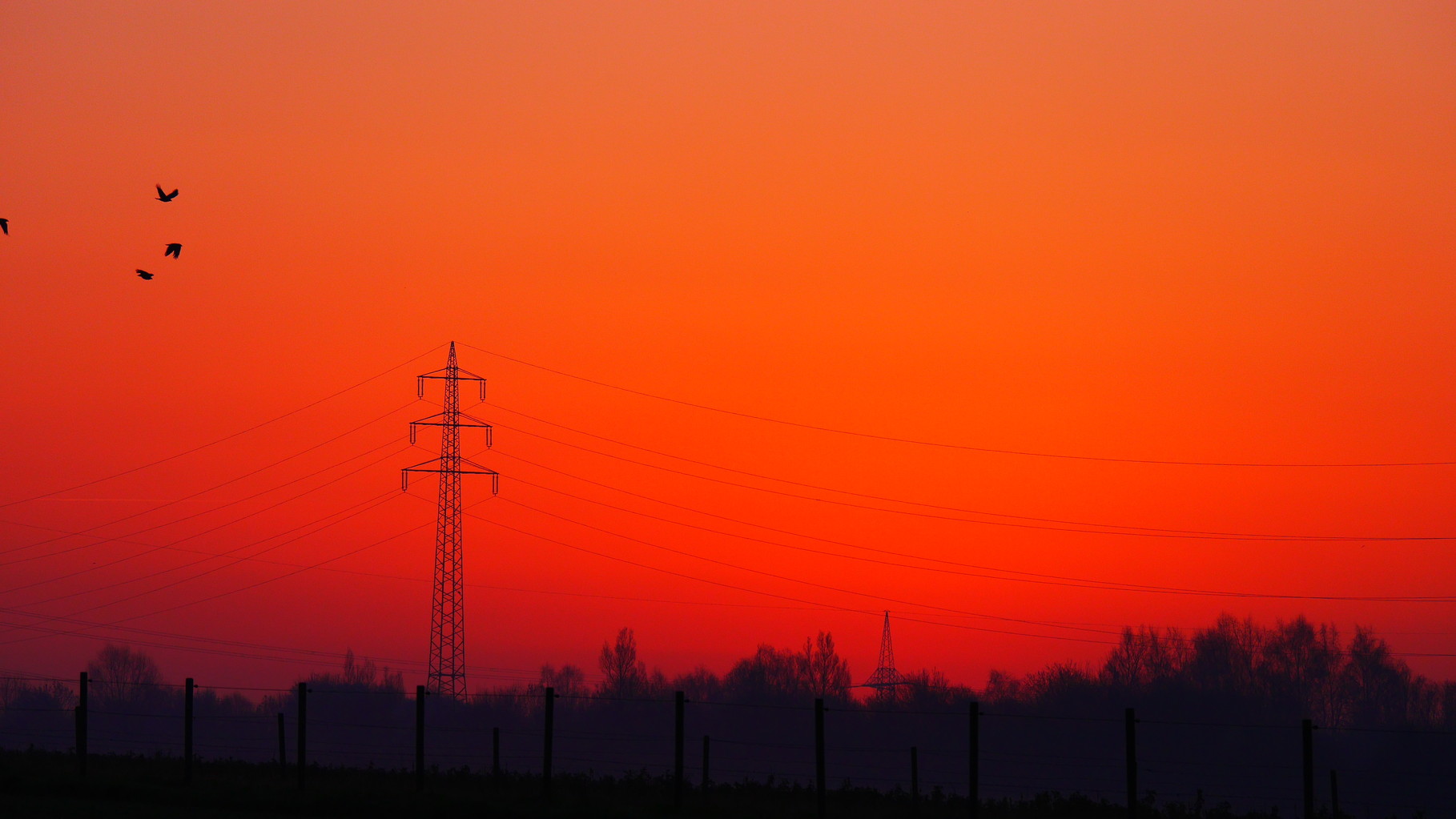 Clasen/Stiller Fotografie, Udo Clasen, Patrick Stiller, Nachtaufnahme, Abstrakte Fotos, Langzeitbelichtung, Sonnenaufgang, rot, grün, blau, orange, gold, gelb, Pflanzen, Baum, Bäume, HDR, Düsseldorf, Duisburg, Natur, Tiere, Wolken, Wassertropfen, Vögel,