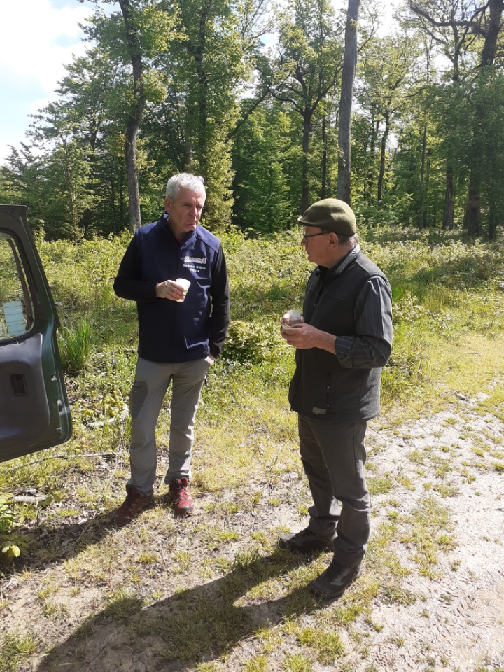 Sur le GR 14 entre Bar le Duc et la Marne