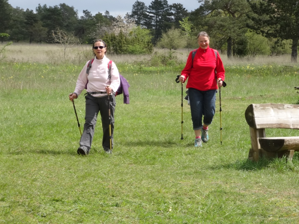 Les soeurs de Compostelle ferment la marche des 479 randonneurs