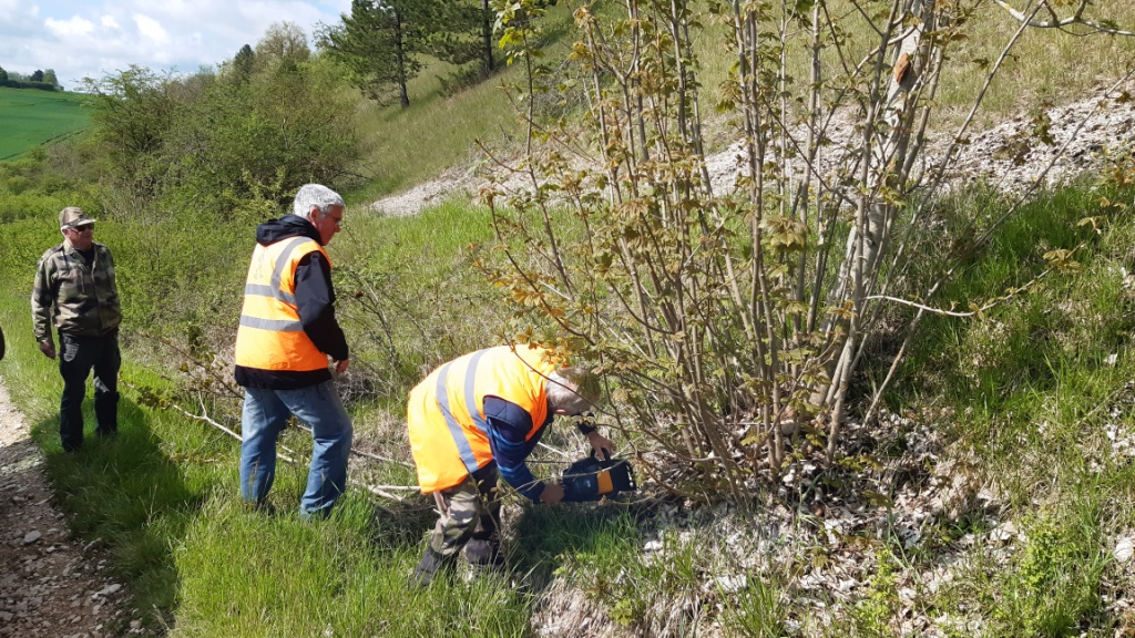 Elagage pour dégager la balise