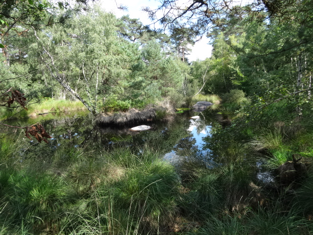 La Mare aux Pigeons