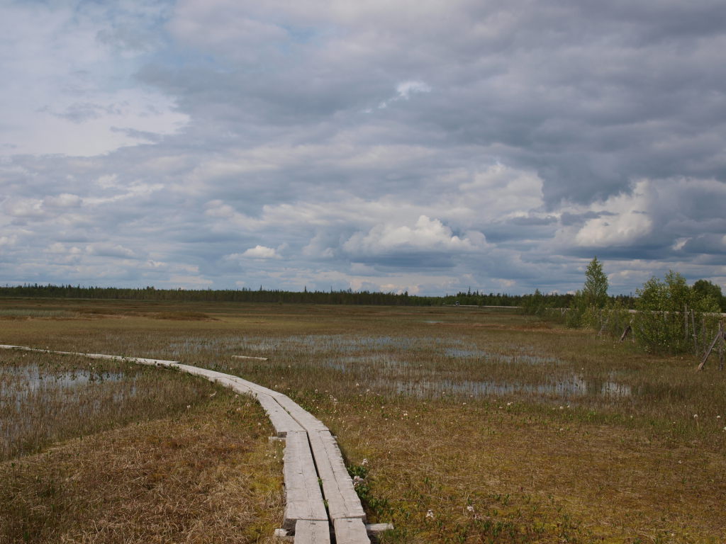 Sumpfgebiet im norden Finnlands