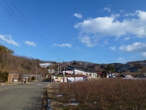 花見山