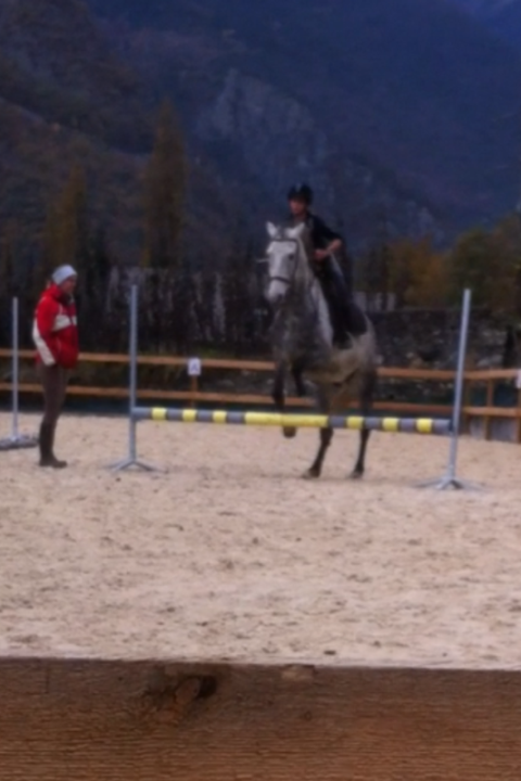 Cours particulier