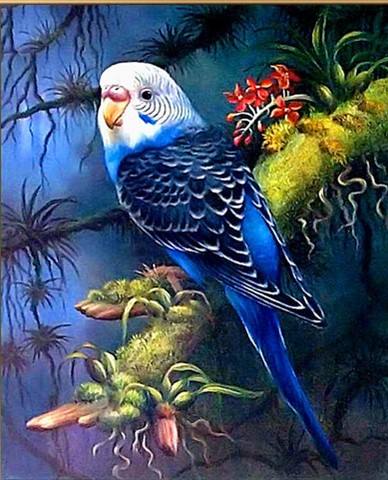 Parkietje D18169 Diamond Paintings Webshop