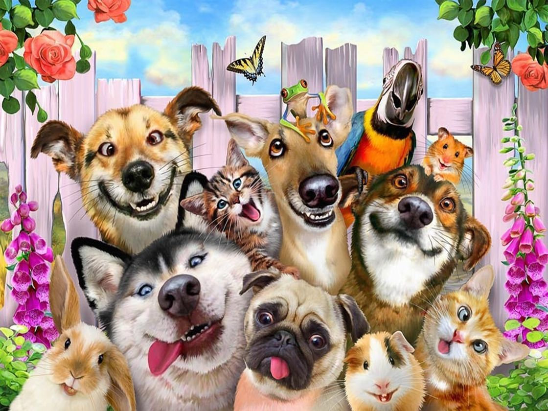Dierenfamilie D18177 Diamond Paintings Webshop