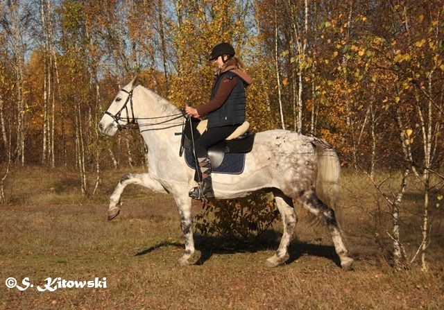 04.11.2015 mit Katha in der Kieskuhle