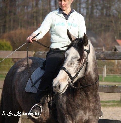 07.04.2010 - Momo und Svea bei der Arbeit