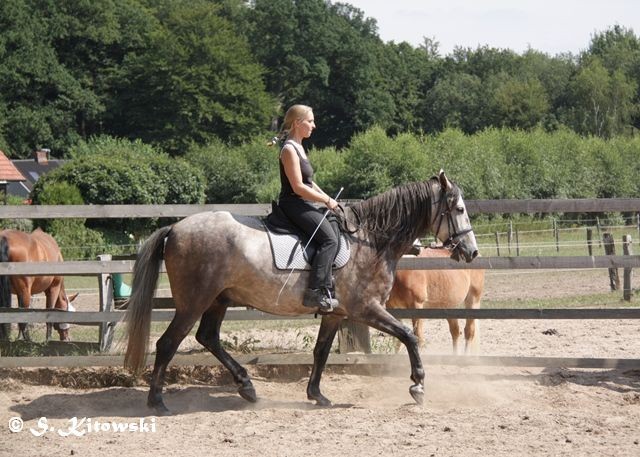 07.08.2010 - Momo und Svea bei der Arbeit