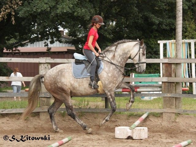 30.07.2011 - Momo´s erste Hüpfer unterm Reiter