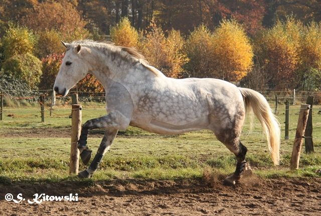 11/2015 beim Laufen