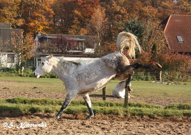 11/2015 beim Laufen