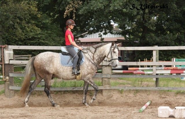 30.07.2011 - Sina und Momo bei der Stangenarbeit