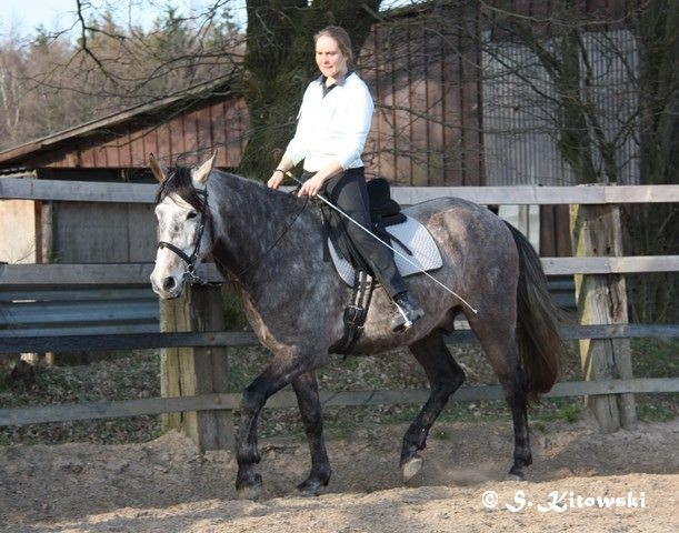 07.04.2010 - Momo und Svea bei der Arbeit