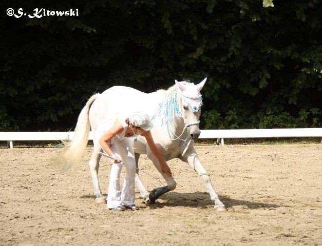 Breitensportturnier Bad Segeberg 2013