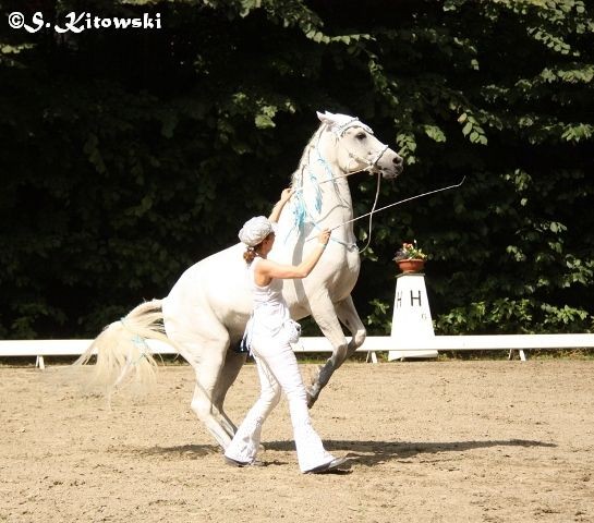 Breitensportturnier Bad Segeberg 2013