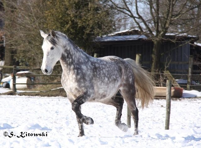 23.03.2013 - Toben im Schnee