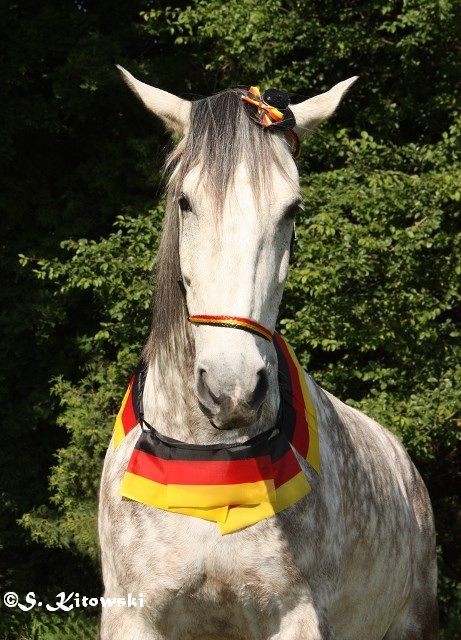 07.06.2014 - Momo im Fußballfieber