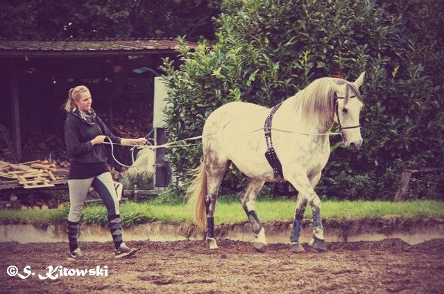 26.09.2015 am Langzügel mit Katha