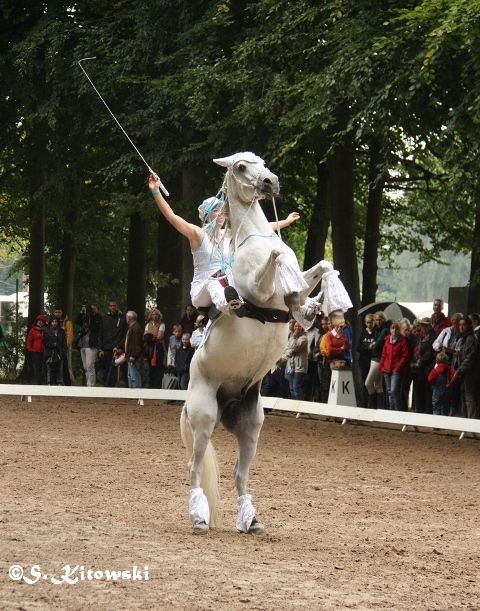 Breitensportturnier Bad Segeberg 2013