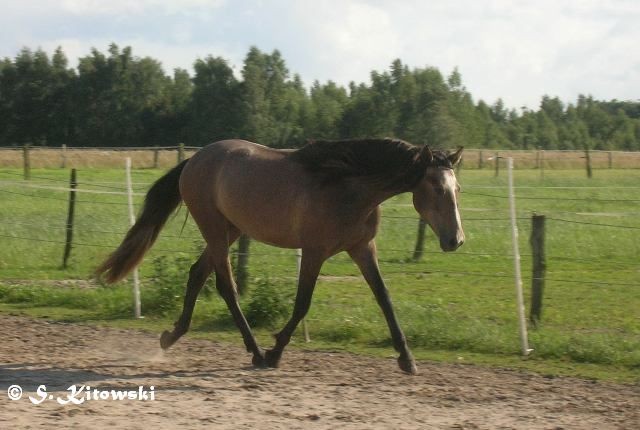 Juli 2007 - mittlerweile 2 Jahre alt...