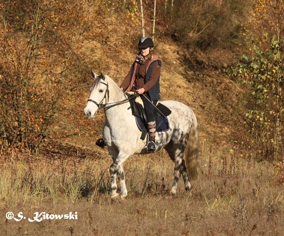 04.11.2015 mit Katha in der Kieskuhle