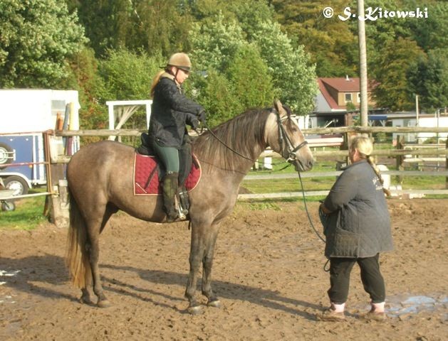 16.10.2008 Momo und Dagmar noch an der Longe