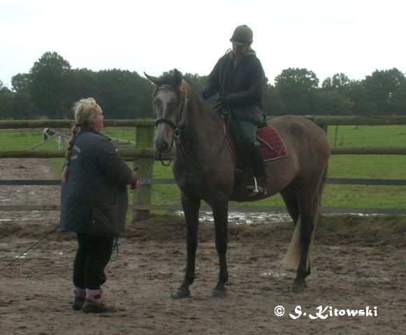 16.10.2008 Momo und Dagmar noch an der Longe