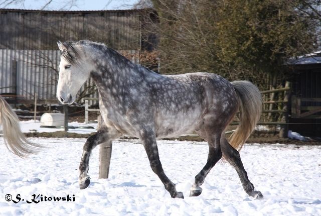 23.03.2013 - Toben im Schnee