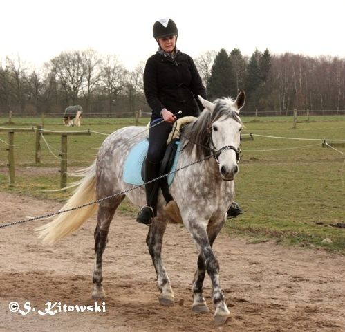 15.03.2014 - Reiteinheit mit Katha