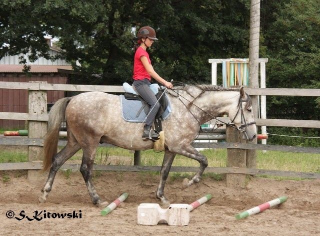 30.07.2011 - Sina und Momo bei der Stangenarbeit