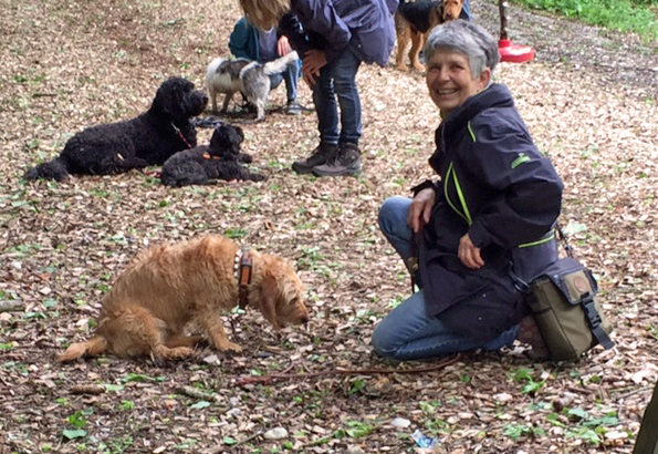 Lernspaziergänge © Hundeschule gooddog