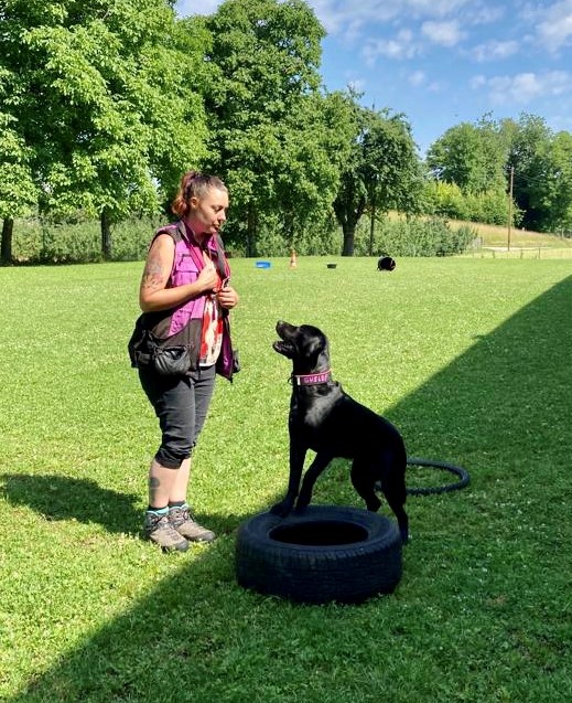 SpassSport © Hundeschule gooddog