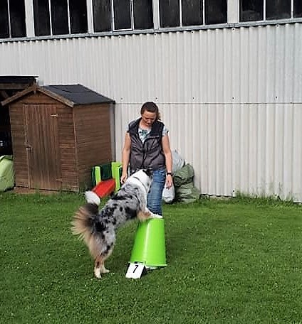 Hundeplausch/Plauschgruppe © Hundeschule gooddog