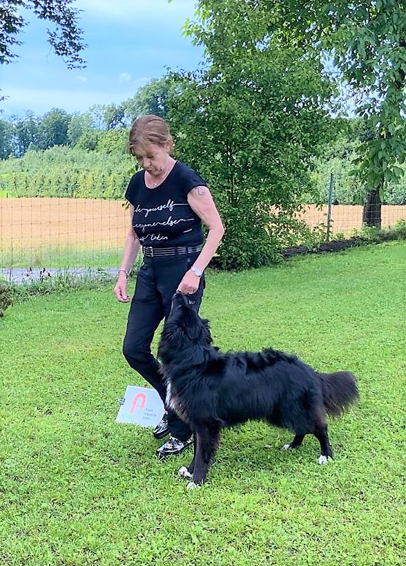 Rally-Obedience © Hundeschule gooddog