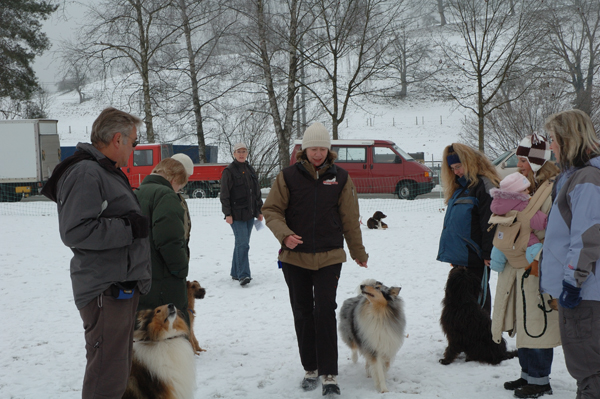 © Hundeschule gooddog