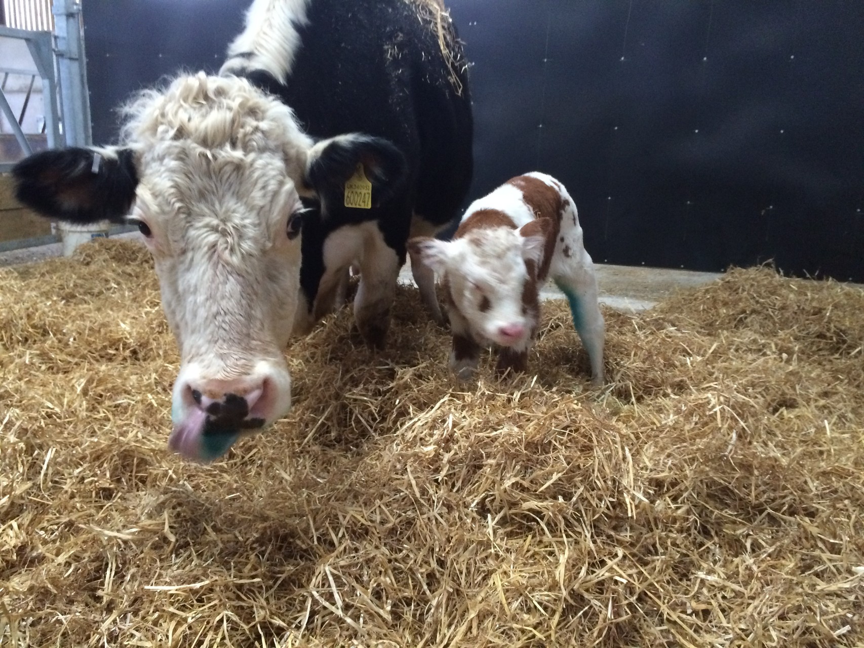 Posy with her mother